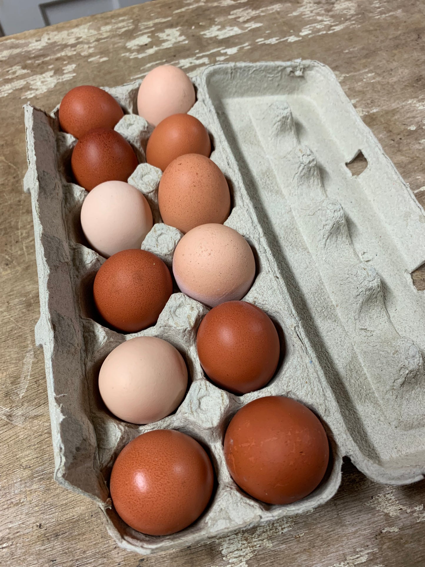 Free range chicken eggs