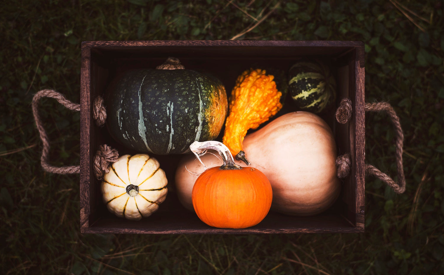 Seasonal vegetables