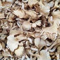 Oyster mushroom per 100g