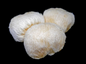 Lion's mane per lb